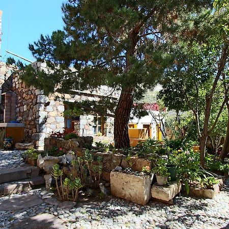 Catorce Casa Curtos 아파트 객실 사진