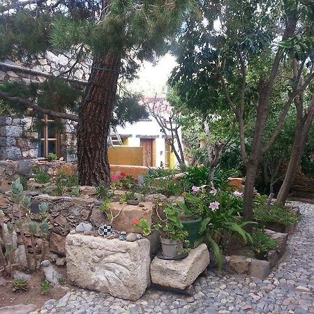Catorce Casa Curtos 아파트 객실 사진