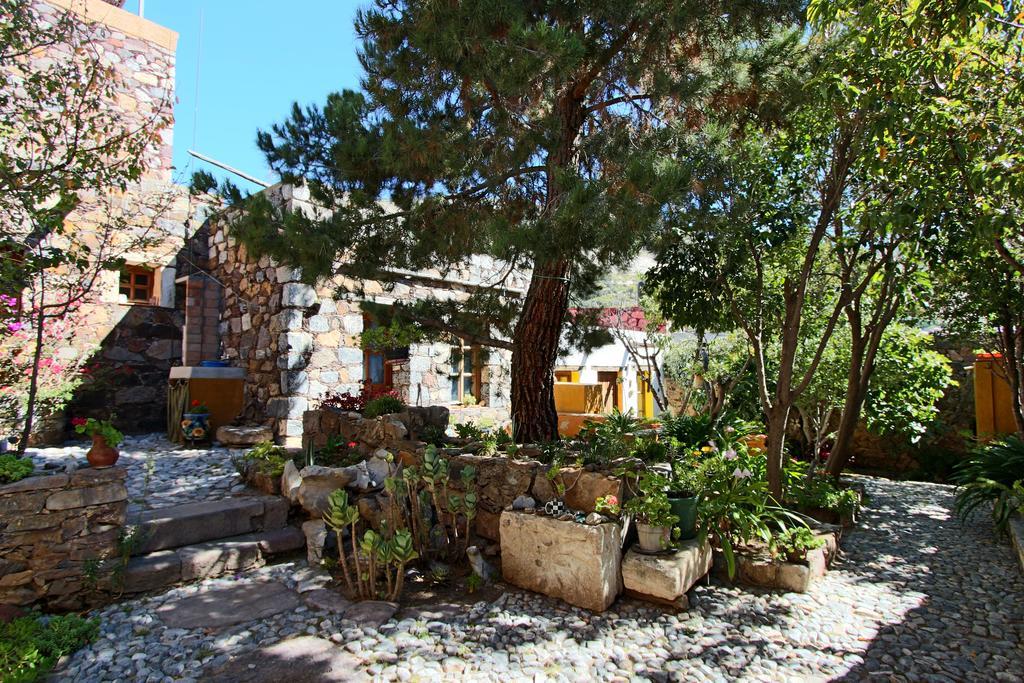 Catorce Casa Curtos 아파트 객실 사진