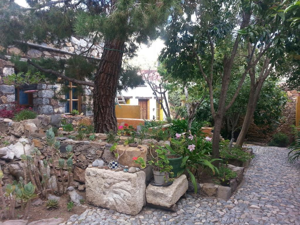 Catorce Casa Curtos 아파트 객실 사진